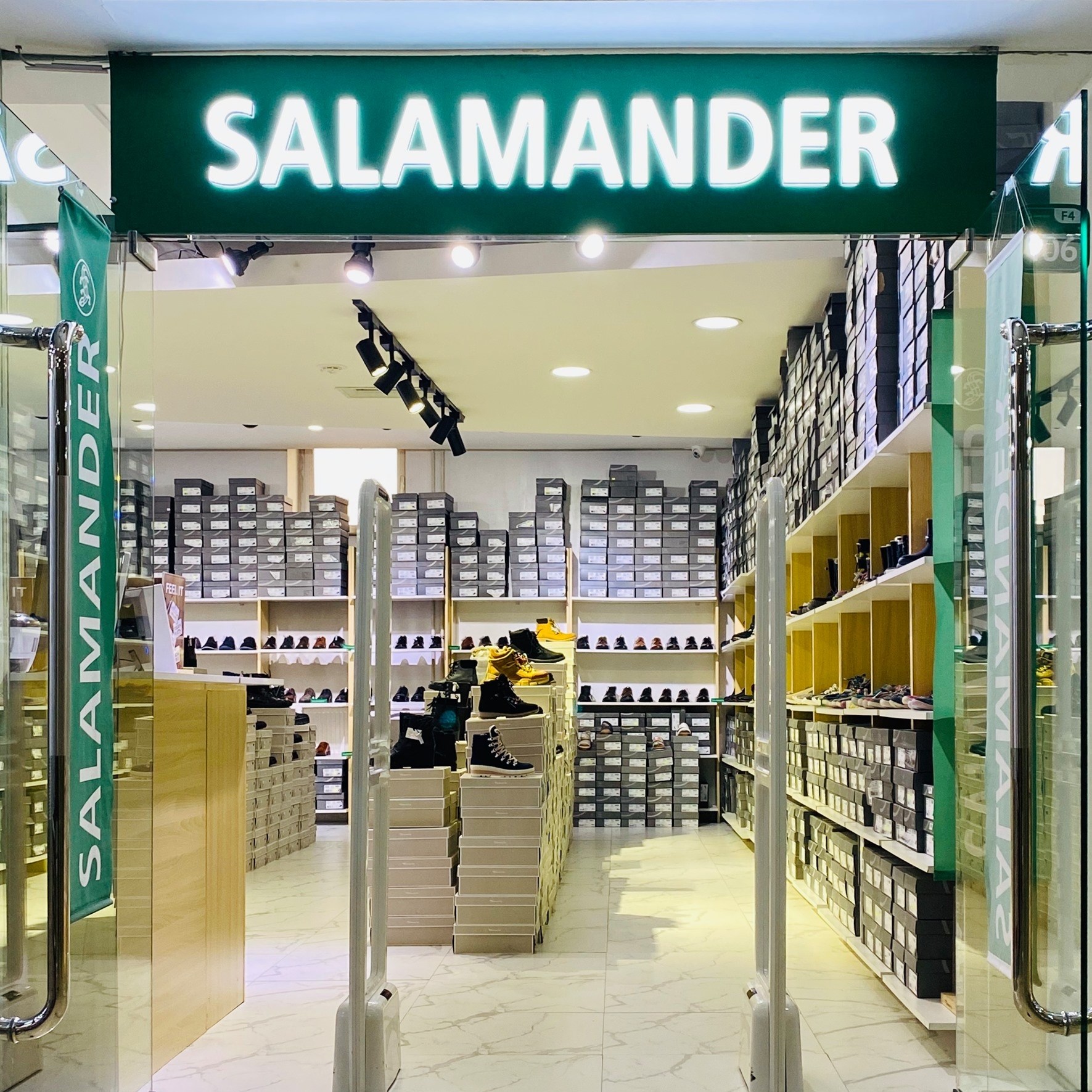 Salamander Mongolia