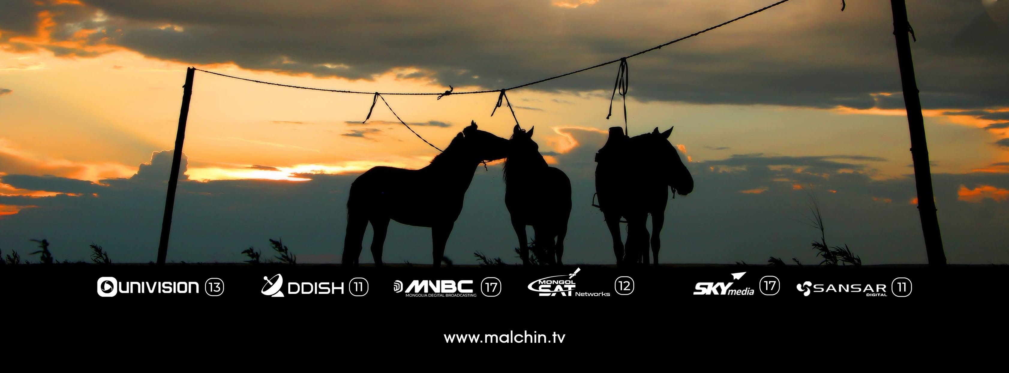 Malchin TV