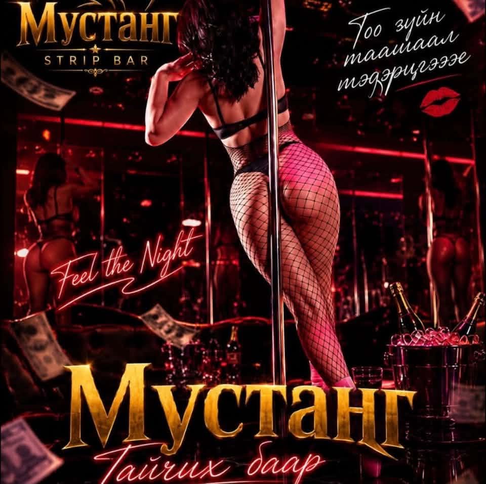 X.o Strip Bar