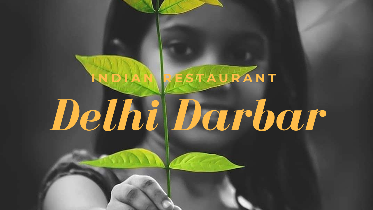 Delhi Darbar India Restaurant