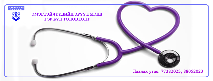 Цагаан уул" эмэгтэйчүүдийн эмнэлэг
