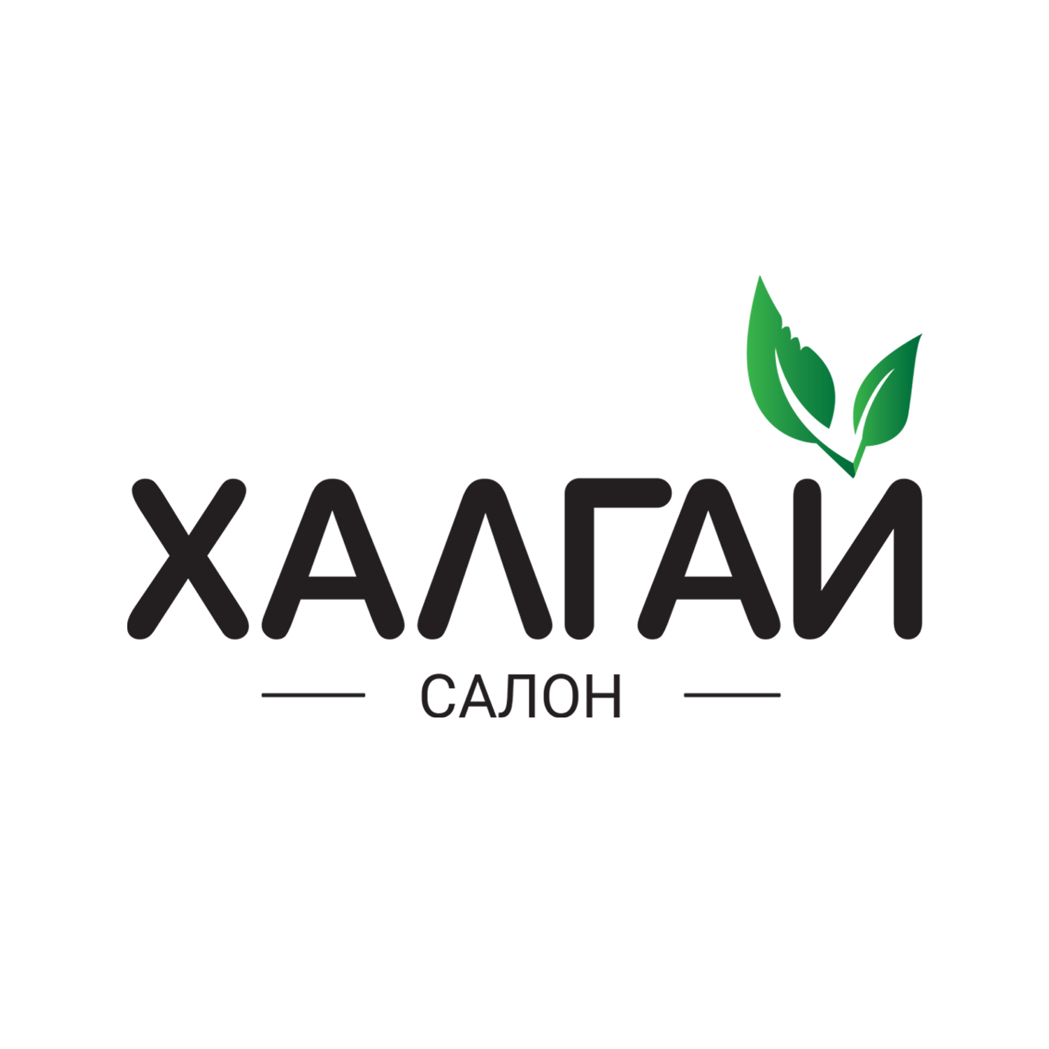 Халгай Салон
