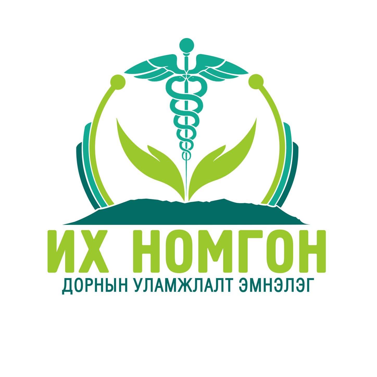 Их Номгон уламжлалт эмнэлэг